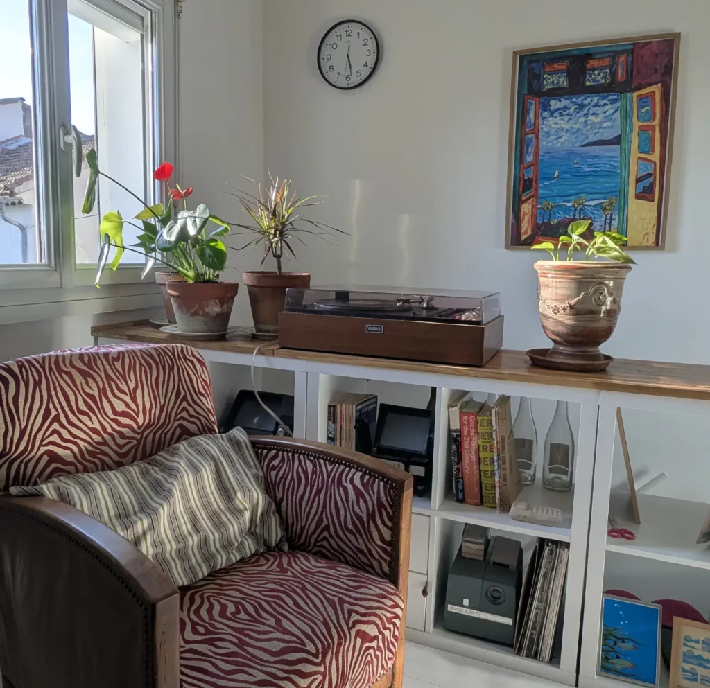 fauteuil et plantes